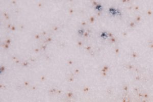 GRC29_Stoneware GRC29_Stoneware