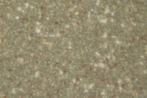 GRC65_Sage_Brush GRC65_Sage_Brush